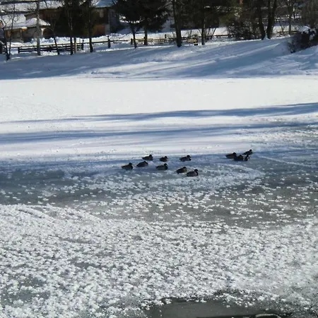 In Stubaital Near Lift *