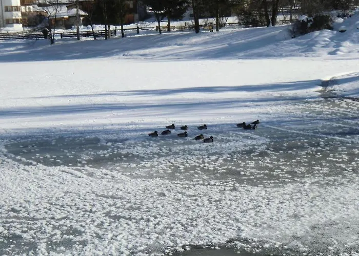 In Stubaital Near Lift *